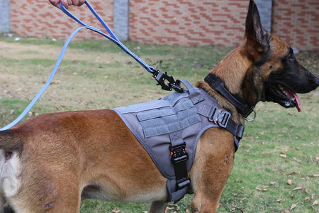 Tactical Dog Harness with 4X Metal Buckle,Dog MOLLE Vest with Handle,No Pulling Front Clip,Hook and Loop Panel for Dog Custom Patch (M (25"-30" Girth), Wolf Gray)