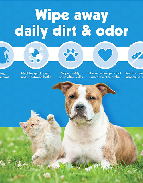 Load image into Gallery viewer, Petwipes – Big 'N Thick Extra Large Pet Wipes for Dogs and Cats – Cleans Face, Ears, Body and Eye Area – Super Convenient, Ideal for Home or Travel
