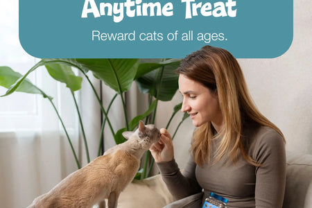 Bursts Crunchy & Creamy Cat Treats, Great for Training, Savory Seafood, 12-Oz Tub